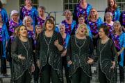 VCC Friends and Family FIRESTORM (2)