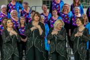 VCC Friends and Family FIRESTORM (5)